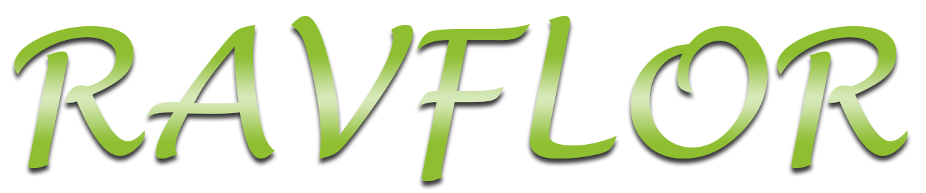 Logo Ravflor